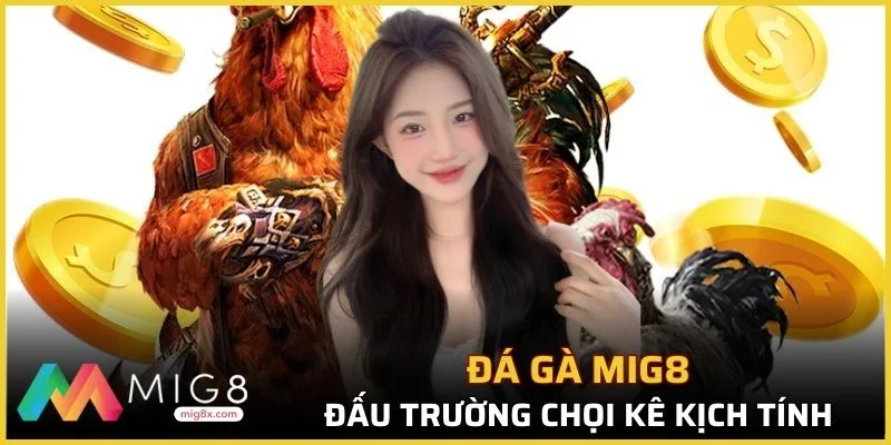 Đá gà Mig8 hấp dẫn nhờ dịch vụ trực tiếp thi đấu và cá cược