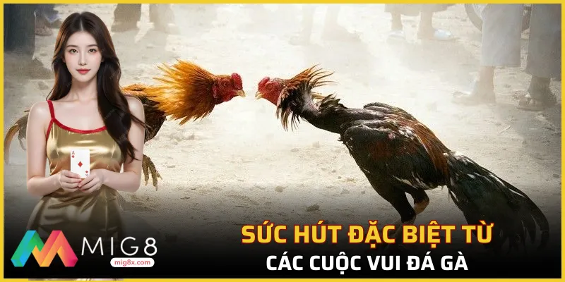 Điểm ấn tượng cực đặc sắc thu hút hội viên