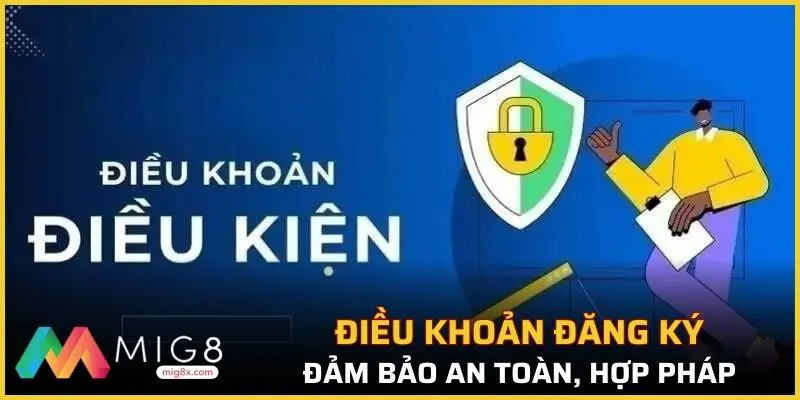 Điều khoản đăng ký, đảm bảo an toàn, hợp pháp
