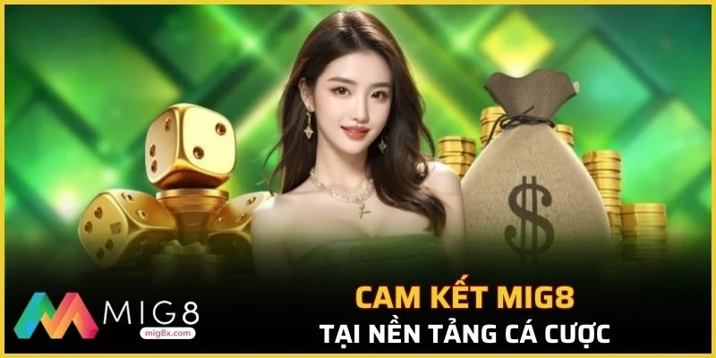 Thông tin về cam kết chất lượng tại nền tảng cá cược