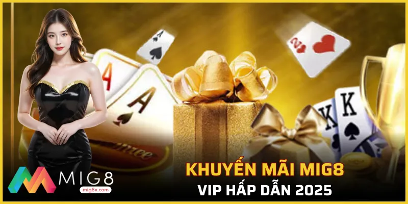 Ưu đãi độc quyền cho VIP có 102